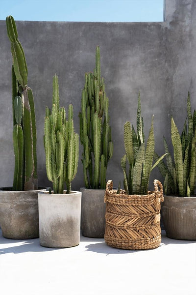 Le Panier Zigzag Banane - M