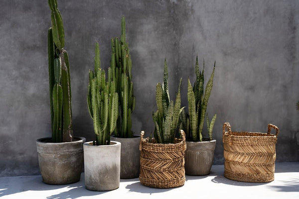 Le Panier Zigzag Banane - M