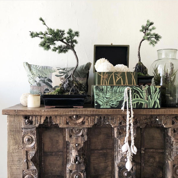 Le Big White Cowrie Shell - Blanc