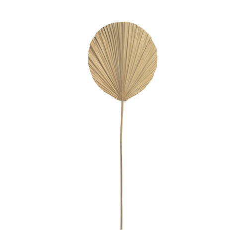 Het Rayung Blad - Naturel - Lot de 4