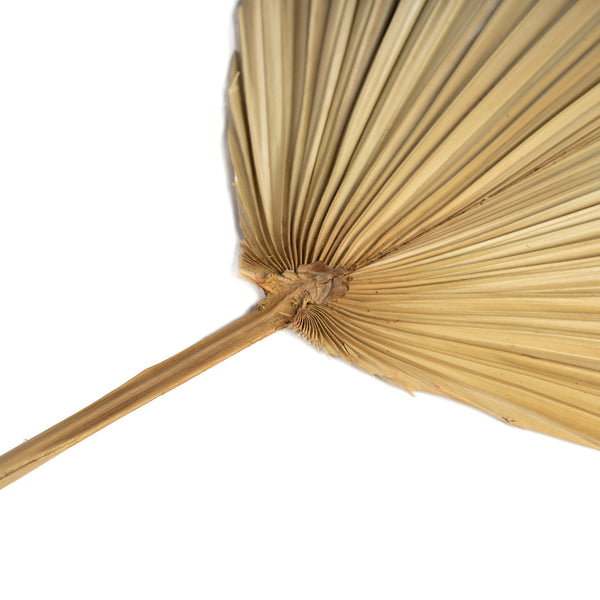 Het Rayung Blad - Naturel - Lot de 4