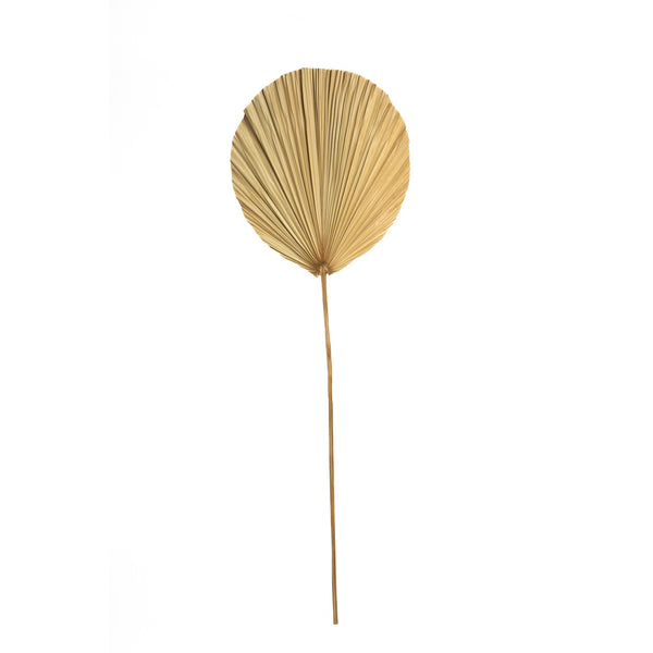 Het Rayung Blad - Naturel - Lot de 4